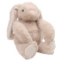 Carlo Baby Fleecefilt med gosedjur kanin Beige i gruppen Leksaker / Gosedjur och snuttefiltar / Gosedjur hos Bonti (KBV18433)