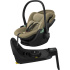 Thule Maple Connect Babyskydd + Bas i gruppen Bilbarnstolar / Varumärken / Thule / Thule Connect hos Bonti (SET-THMPLBAS)